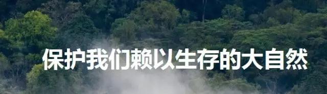 微信图片_20170428140646.jpg