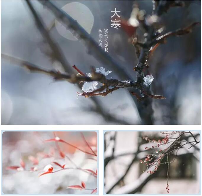 QQ截图20190121115029.jpg