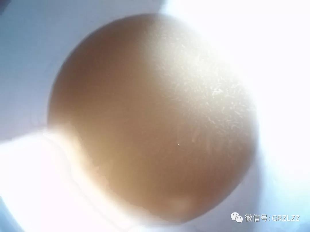 微信图片_20181207164732.jpg